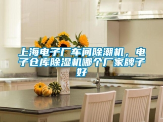 企業(yè)新聞上海電子廠車間除潮機(jī)，電子倉(cāng)庫(kù)除濕機(jī)哪個(gè)廠家牌子好