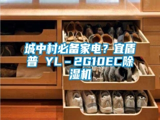 企業(yè)新聞城中村必備家電？宜盾普 YL–2G10EC除濕機(jī)