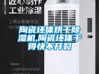 知識(shí)百科陶瓷坯體烘干除濕機(jī),陶瓷坯體干得快不開(kāi)裂