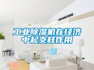 企業(yè)新聞工業(yè)除濕機在經(jīng)濟中起支柱作用