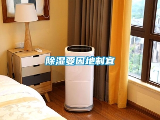 企業(yè)新聞除濕要因地制宜