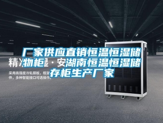 知識百科廠家供應(yīng)直銷恒溫恒濕儲物柜   湖南恒溫恒濕儲存柜生產(chǎn)廠家