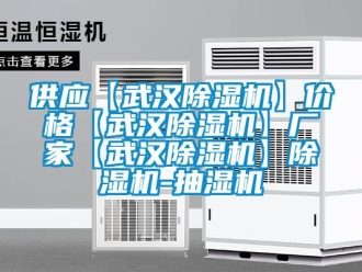 企業(yè)新聞供應(yīng)【武漢除濕機】價格【武漢除濕機】廠家【武漢除濕機】除濕機-抽濕機