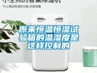 知識(shí)百科原來(lái)恒溫恒濕試驗(yàn)箱的溫濕度是這樣控制的