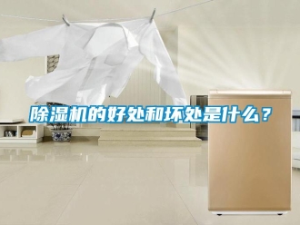 企業(yè)新聞除濕機的好處和壞處是什么？