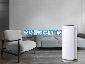 企業(yè)新聞安詩曼除濕機廠家