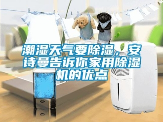 企業(yè)新聞潮濕天氣要除濕，安詩曼告訴你家用除濕機的優(yōu)點