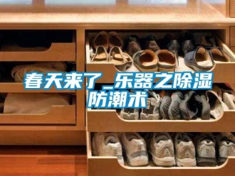 企業(yè)新聞春天來了_樂器之除濕防潮術(shù)