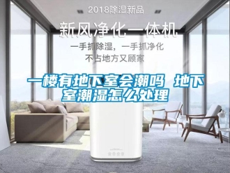 企業(yè)新聞一樓有地下室會(huì)潮嗎 地下室潮濕怎么處理