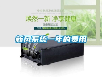 知識百科新風(fēng)系統(tǒng)一年的費(fèi)用