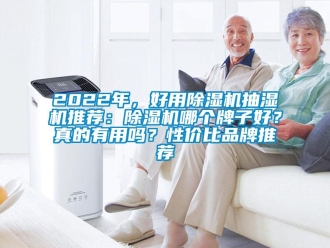 企業(yè)新聞2022年，好用除濕機(jī)抽濕機(jī)推薦：除濕機(jī)哪個(gè)牌子好？真的有用嗎？性價(jià)比品牌推薦