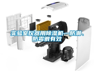知識百科實(shí)驗(yàn)室儀器用除濕機(jī)—防潮、防霉很有效
