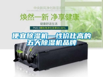 企業(yè)新聞便宜除濕機(jī)—性價(jià)比高的五大除濕機(jī)品牌