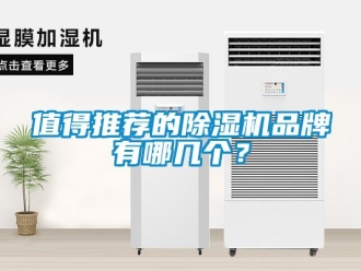 企業(yè)新聞值得推薦的除濕機(jī)品牌有哪幾個(gè)？