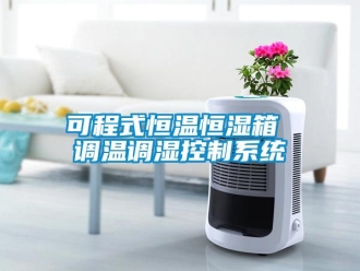 知識百科可程式恒溫恒濕箱 調(diào)溫調(diào)濕控制系統(tǒng)
