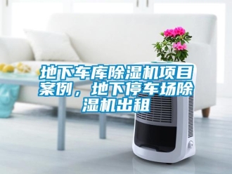 企業(yè)新聞地下車庫除濕機項目案例，地下停車場除濕機出租