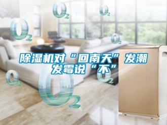 企業(yè)新聞除濕機(jī)對“回南天”發(fā)潮發(fā)霉說“不”