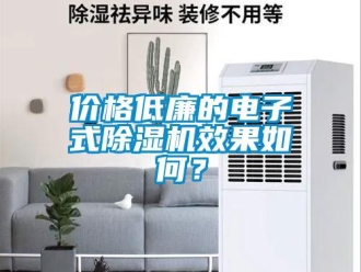 企業(yè)新聞價格低廉的電子式除濕機效果如何？