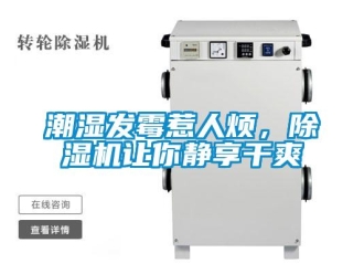 企業(yè)新聞潮濕發(fā)霉惹人煩，除濕機(jī)讓你靜享干爽