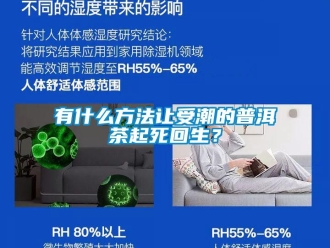 知識百科有什么方法讓受潮的普洱茶起死回生？
