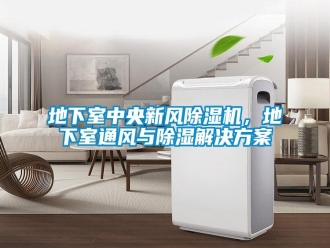 企業(yè)新聞地下室中央新風(fēng)除濕機(jī)，地下室通風(fēng)與除濕解決方案