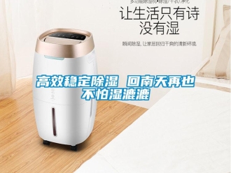 企業(yè)新聞高效穩(wěn)定除濕 回南天再也不怕濕漉漉
