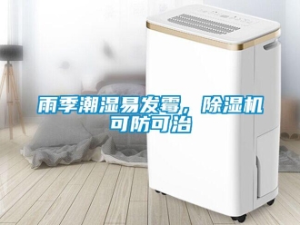知識百科雨季潮濕易發(fā)霉，除濕機可防可治