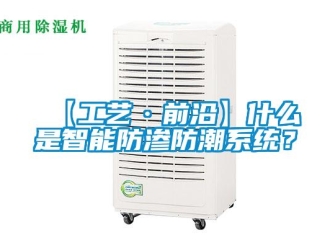 企業(yè)新聞【工藝·前沿】什么是智能防滲防潮系統(tǒng)？