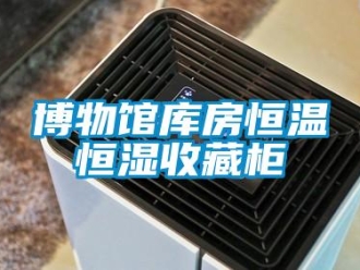 知識(shí)百科博物館庫房恒溫恒濕收藏柜