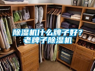 企業(yè)新聞除濕機什么牌子好？老牌子除濕機