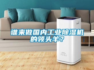知識百科誰來做國內(nèi)工業(yè)除濕機的領頭羊？