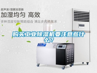 企業(yè)新聞購(gòu)買(mǎi)工業(yè)除濕機(jī)要注意些什么？