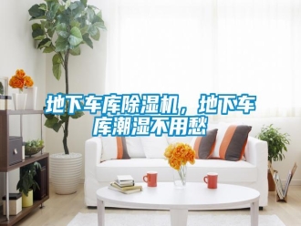 企業(yè)新聞地下車庫除濕機，地下車庫潮濕不用愁