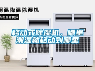 知識(shí)百科移動(dòng)式除濕機(jī)，哪里潮濕就移動(dòng)到哪里