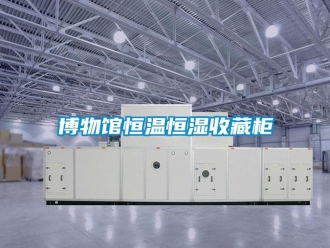 知識(shí)百科博物館恒溫恒濕收藏柜