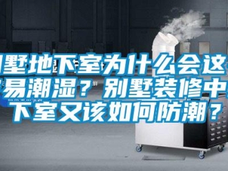 企業(yè)新聞別墅地下室為什么會(huì)這么容易潮濕？別墅裝修中地下室又該如何防潮？