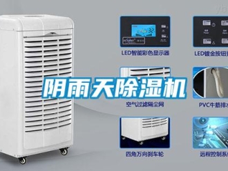 知識(shí)百科陰雨天除濕機(jī)