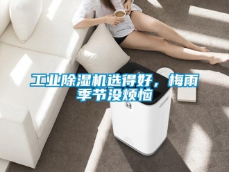 企業(yè)新聞工業(yè)除濕機(jī)選得好，梅雨季節(jié)沒(méi)煩惱