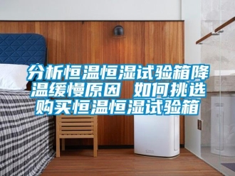 知識百科分析恒溫恒濕試驗(yàn)箱降溫緩慢原因 如何挑選購買恒溫恒濕試驗(yàn)箱