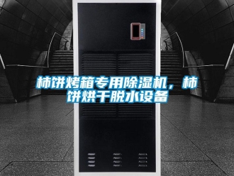知識(shí)百科柿餅烤箱專用除濕機(jī)，柿餅烘干脫水設(shè)備