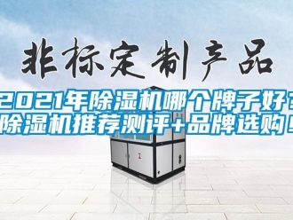 企業(yè)新聞2021年除濕機哪個牌子好？除濕機推薦測評+品牌選購！