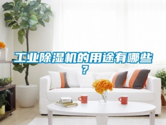 企業(yè)新聞工業(yè)除濕機(jī)的用途有哪些？