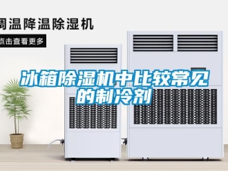 企業(yè)新聞冰箱除濕機(jī)中比較常見的制冷劑
