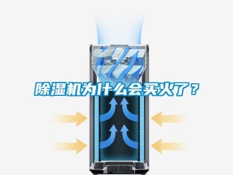 企業(yè)新聞除濕機為什么會買火了？