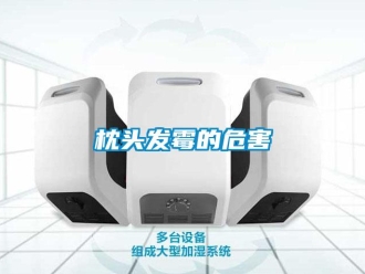知識(shí)百科枕頭發(fā)霉的危害