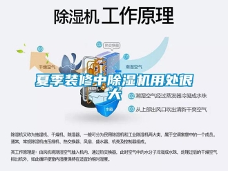 知識百科夏季裝修中除濕機(jī)用處很大