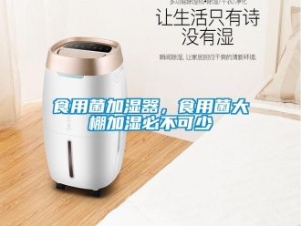 知識百科食用菌加濕器，食用菌大棚加濕必不可少