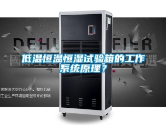 知識百科低溫恒溫恒濕試驗(yàn)箱的工作系統(tǒng)原理？