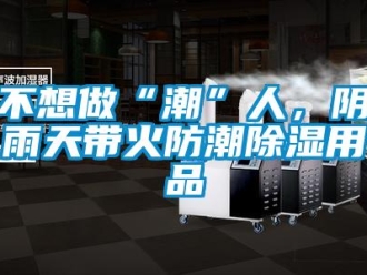 企業(yè)新聞不想做“潮”人，陰雨天帶火防潮除濕用品