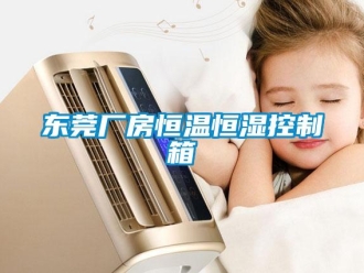 知識(shí)百科東莞廠房恒溫恒濕控制箱